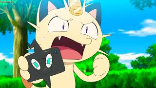 meowth translate turtle race pokemon