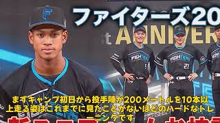 【野球】「日本ハム・野村選手の進化に期待！キャンプ初日から見せた驚異の体のキレとは？」 #谷口きゅん, #野村選手, #日本ハムファイターズ