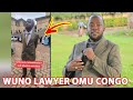 Wuno Lawyer wa #Hajji Ali omu Congo Eyasabudde za Balingala omulamuzi Natya Okulabikako, Full Figure