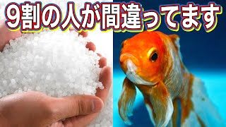 【金魚の飼い方】金魚の塩浴完全マニュアル