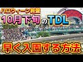 【地獄絵図】思わず悲鳴が上がる大行列‼️10月下旬のディズニーランドは朝何時に並ぶべき⁉️早く入園する方法も徹底解説‼️