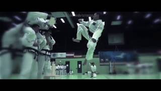 Taekwon-Do Show Act - Bruchtest Highlights  Slow-Motion