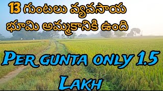 13 గుంటలు వ్యవసాయ భూమి అమ్మకానికి ఉంది | #farmlandinvestment #farmland #landplotsale #realestate