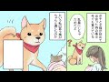 【漫画】捨て猫を拾ってきた私。家の柴犬と仲良くしてくれるか心配だったのだけど…（感動する話）【マンガ動画】