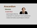 Materia Medica Series #18 Anacardium