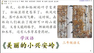 No.15 美丽的小兴安岭 Beautiful Lesser Khingan Range  (Grade 3 Chinese Language Arts ) #语文 #Learn_Chinese