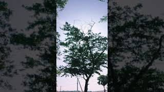 Jaffna Nature Place | Chavakacheri | இல்வாரை | யாழ்ப்பாணம் | தமிழ் | Tourist Place