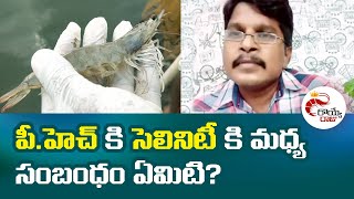 పీ.హెచ్ కి సెలినిటీ కి మధ్య సంబంధం ఏమిటి? PH and Salinity Relation in Aquaculture | Royye Raju