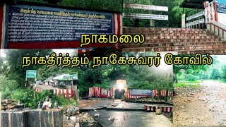 Nagatheertham Nageshwarar Temple in Kodimangalam, Madurai