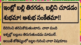 ఇంట్లో బల్లి తిరగడం, బల్లిని చూడడం శుభమా!అశుభ సంకేతమా|@devotionalchannel321 #ధర్మసందేహాలు