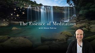 Finding Peace Through Self-Compassion: A Meditative Practice with Shane Pokroy