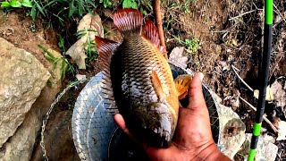 ഒരു മുട്ടൻ ചെമ്പല്ലിയെ പിടിച്ച് 🐟  വാഴയിലയിൽ വച്ച് പൊള്ളിച്ചു..fishing videos malayalam🐟👌🥰