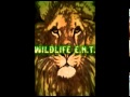 Wildlife E.N.T. feat.Relli-Fuck Him