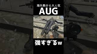 海外勢がよく使う最強武器が強すぎるwwww【アリーナブレイクアウト/タルコフモバイル】#arenabreakout #ゲーム実況