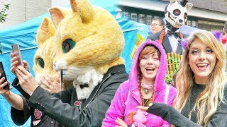 MEANWHILE IN JAPAN // Halloween Ghost Cat Festival // Bakeneko