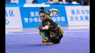 Women's Xingyiquan 女子形意拳 第2名 北体大 王晨晨 8.96分 2019年全国武术套路冠军赛(传统项目) wushu kungfu