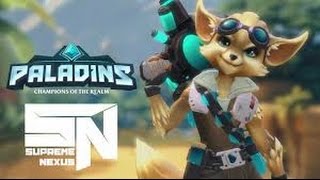 枪火游侠教程(Paladins Tutorial)新手成神_10皮皮