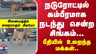 நடுரோட்டில் கம்பீரமாக நடந்து சென்ற சிங்கம்... பீதியில் உறைந்த மக்கள்.. இணையத்தில் வைரலாகும் வீடியோ