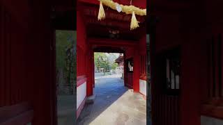 必勝の神降臨の地！⛩️あなたにも神の御加護を⛩️#パワースポット #神社 #開運スポット #遠隔参拝