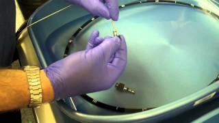 Video Endoscope Cleaning Guide.mov