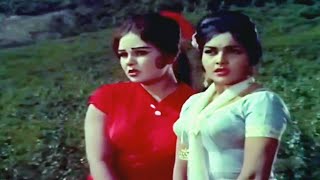 Gore Hathon Par Na Zulm Karo-Pyar Kiye Jaa Full Video Song, Shashi Kapoor, Kalpana, Rajshree