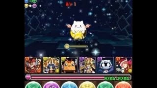 パズドラ【たまドラ発見！攻略記念たまぁ】