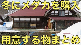 【冬のメダカ購入】冬にメダカ買うなら、これだけは最低限準備してください！