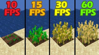 10fps vs 15 fps vs 30fps vs 60fps