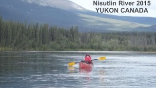 Nisutlin River 2015