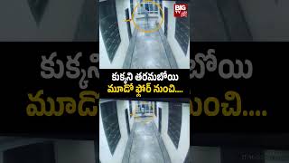 Chandanagar Incident | Hyderabad | కుక్కని తరమబోయి.. మూడో ఫ్లోర్ నుంచి.... | VV Pride Hotel | BIG TV