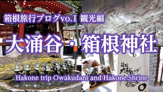 箱根旅行ブログvo.1 観光編 「大涌谷＆パワースポット箱根神社」/Hakone trip Owakudani and Hakone Shrine/May 17-18, 2024/４K