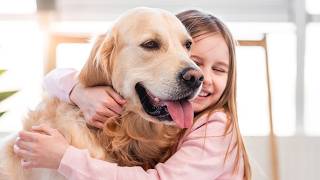 Dog licensing update helps residents avoid duplicate fees
