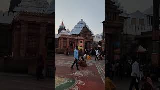 Jai jagannath #hindugod #travel #jagannath #jagannathtemple #puri #purijagannadh #shorts