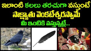 ఇలాంటి కలలు తరచుగా వస్తుంటే సాక్ష్యాతు వెంకటేశ్వరస్వామే మీ ఇంటికి వస్తున్నట్లే!! Dream Facts Telugu