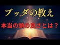 【ブッダの教え】仏教が教える頭のいい人・悪い人の違い