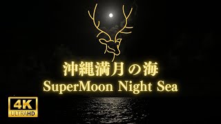 沖縄満月の夜の海 波の音【癒し/疲労回復/睡眠/ストレス解消/瞑想】2024年7月21日