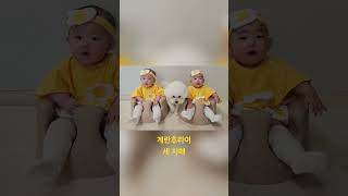 VLOG | SHORTS | 계란후라이 세 자매 | 애개육아 | 이란성쌍둥이 | 트윈룩 | 5개월 쌍둥이