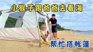 小猴子跟爸爸去看海，帮忙搭帐篷，在海边吃面包