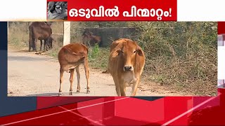 പ്രണയദിനത്തിൽ പശുവിനെ കെട്ടിപ്പിടിക്കേണ്ട; സര്‍ക്കുലര്‍ പിന്‍വലിച്ചു | Mathrubhumi News