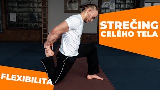 STREČING CELÉHO TELA │ FOLLOW UP | Michal Barbier | Flexibilita tela