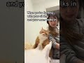 he s touching me orangecat 9gag reels