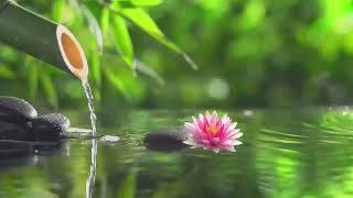 Bamboo Fountain and Healing Piano Music • Meditation, Spa, Sleep, Zen
