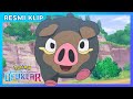 Lechonk Sprigatito’ya karşı! | Pokémon Yeni Ufuklar: Dizi | Resmî Video