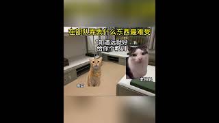 在部队弄丢什么东西最难受 #猫meme #猫meme小剧场 #部队 #丢东西  #cat #迷恋 #funny  #萌宠 #pets #貓