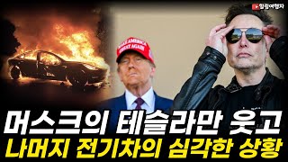 트럼프를 향한 머스크의 도박은 대박! 테슬라만 웃고 나머지 전기차의 심각한 현재 상황은??