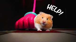 All Poppy Playtime Monster - Hamsterious Vs Impossible Challenges