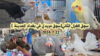 سوق مريدي انواع الحيوانات والطيور مع الأسعار اليوم 2024/7/22|سوق الغزل الثاني