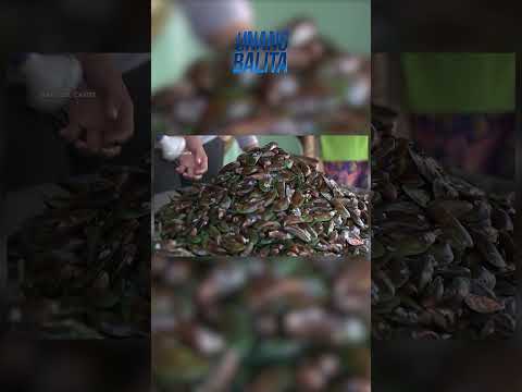 Ilang lugar sa Cavite, nasa state of calamity dahil sa oil spill; fishing… #shorts | Unang Balita