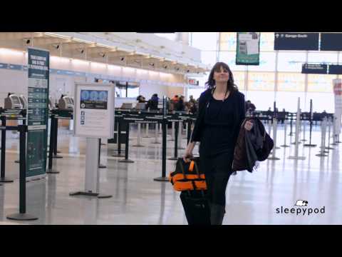 Easy Air Travel With Your Pet Easy Air Travel With Your Pet