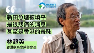 【新田科技城即將動工】林超英：新田魚塘被填平是很悲痛，甚至是香港的羞恥